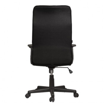 Кресло офисное BRABIX Delta EX-520 (черный) в Емельяново - emelyanovo.mebel54.com | фото