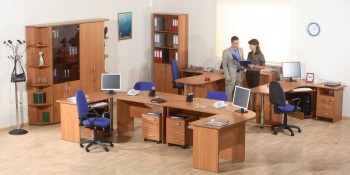 Мебель для персонала Альфа 61 Ольха в Емельяново - emelyanovo.mebel54.com | фото