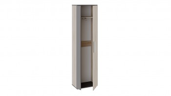 Шкаф для одежды «Нуар» тип 1 Фон серый/Дуб сонома в Емельяново - emelyanovo.mebel54.com | фото